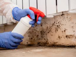 Best Air Quality Testing for Mold Spores  in Brookshire, TX